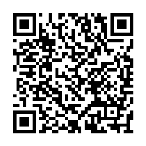 不过他们之间的天性和天赋此时已渐渐显露出来二维码生成