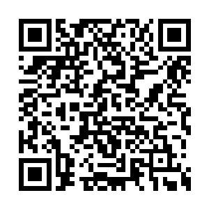 不过他们也发现了玄天冥在打倒了这么多人之后二维码生成