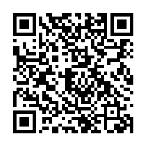 不过他们大部分时间还是在张均的混元秘境内修炼二维码生成