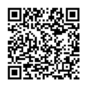 不过他们已经习惯了江少阳这种和江圣如出一撤的说话方式二维码生成