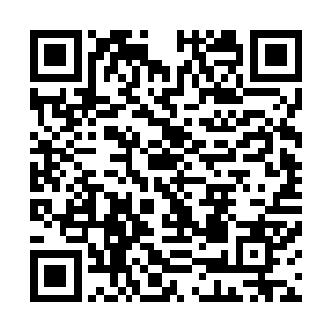 不过他们建造的吊桥要比侬智高建造的藤桥要坚固的太多了二维码生成