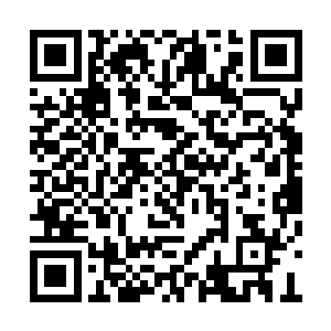 不过他们明显已经有着多次与对方打交道的经验二维码生成