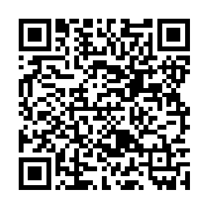 不过他们的资质或者能力并没有达到何十八的要求二维码生成