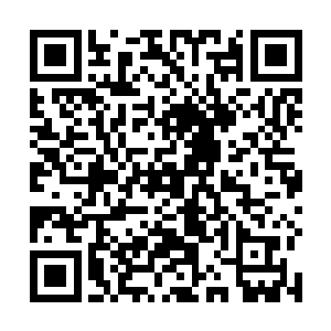 不过他们还从来没有见过如此多的蚂蝗一起进攻的场景二维码生成