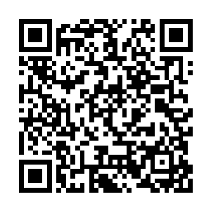 不过他姐姐却坚持要他每隔五日便回来吃一回饭二维码生成