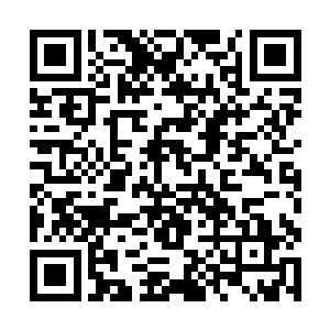 不过他对于乔家三兄弟加入茅山别院没有任何的反感二维码生成