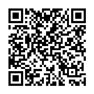 不过他将同我一起来的虞家妹妹带去尹天池仙人那里去了二维码生成