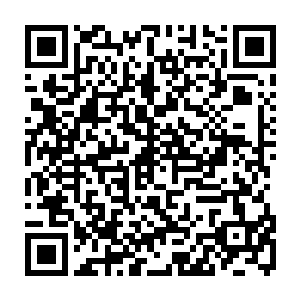 不过他并没有意识到最后那一瞬间周兰昕把自己的不死鸟套装穿在了他的身上二维码生成