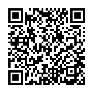 不过他很快就从昭良界主他们嫌弃的表情里回过神来二维码生成