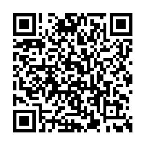 不过他更喜欢亲自折磨人或者亲眼看到人被折磨二维码生成