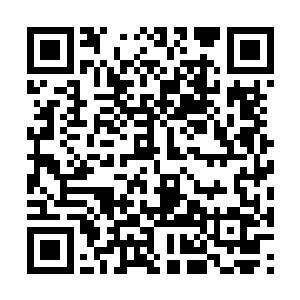 不过他现在担心身边这个少女是不是又开始发抽了二维码生成