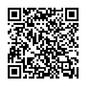 不过他的纳虚戒之中却是多了一大堆乱七八糟的东西二维码生成