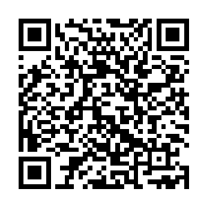 不过他知道凭暗幽林的实力一旦出去了必然是死路一条二维码生成