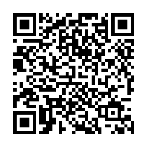 不过他确实不知道宗主大人曾经跟小幼崽学过五灵剑图的事二维码生成