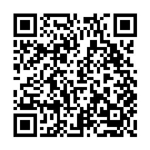 不过他身上的攻击也同样的被金丝软甲给挡住了二维码生成