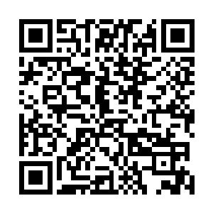 不过他首先查询的是另外一位明星……他比较喜欢的那位二维码生成