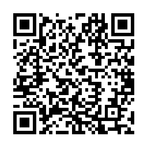 不过以付出如此沉重代价所发起的一击自然也极为可怕二维码生成