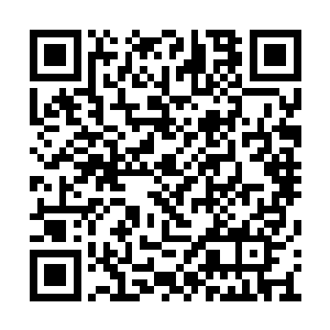 不过以后你倒是可以常常来看我这一把老骨头了二维码生成