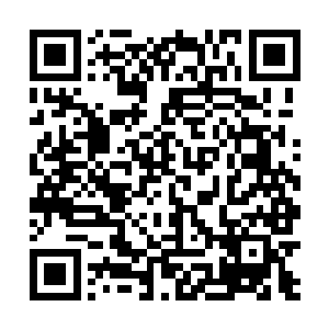 不过以将军的身份亲自出手指点他们也太过大材小用了二维码生成