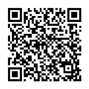不过任何圈套在绝对的武力面前都显得那么弱小二维码生成