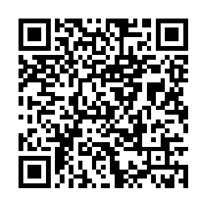 不过估计我也没有机会将它们带回到昊天域界里了二维码生成