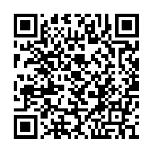 不过你一个人的能量已经不够我和嘟嘟两个人用二维码生成