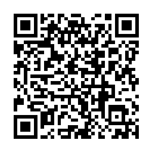 不过你也清楚世纪风华地产在二线城市的项目都很少二维码生成