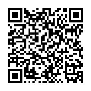 不过你们要是用着血珀珠来给我交换幽魂草的话我也会同意的二维码生成