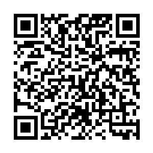 不过你们觉得就你们几人能比的上刚才那些凶猛的藏獒二维码生成