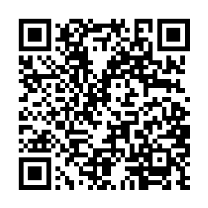 不过你可不能告诉几位嫂子说是我带您出去鬼混的二维码生成