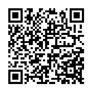 不过你可以把这个任务交给你们学校里那些新学生二维码生成