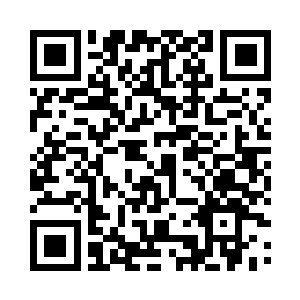 不过你毕竟还是对橙橙这家伙不够了解二维码生成
