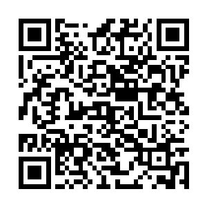 不过你真以为谁都跟他们这些没骨头的家伙一样么二维码生成