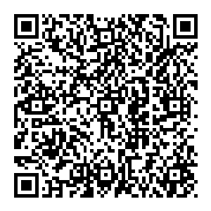 不过依然在迈进面对这种敌人实在太困扰了既打不到又无法用外景招式抗衡全靠元神和真气硬撑若是敌人还好自身早就二维码生成