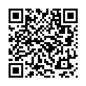 不过倒是很好的映衬了两个小家伙二维码生成