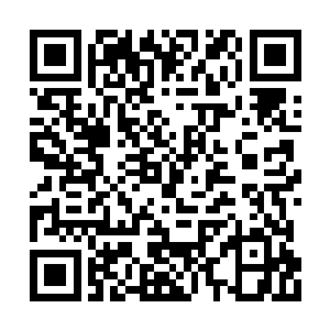 不过倒是让秦方发现这一套拳法还真是有点用处二维码生成