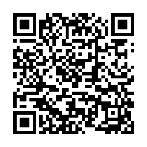 不过其他三只神兽听它这么说也没有引起丝毫的不喜二维码生成