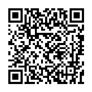 不过其他人就不好说了……把祖龙大神召唤出来二维码生成