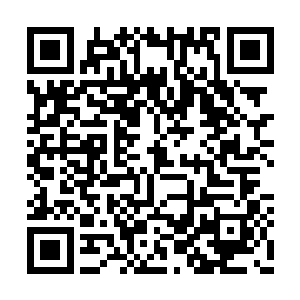 不过其体型和样子都不是一般的虫子可以相比的二维码生成