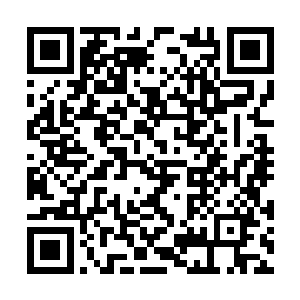不过其余人却不知道程娉口中的车子是两个轮子的二维码生成