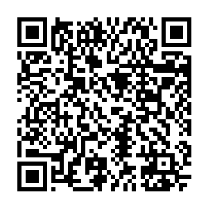 不过再踏入仙王境界之后又将神灵之棺从江山社稷图内拿了出来放在了桃花源内二维码生成