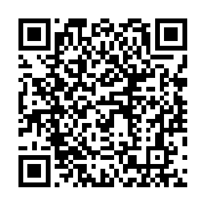 不过凌菲想的是等到有空的时候专门写一本关于草药的书二维码生成