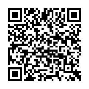 不过凌菲既然说了是好东西大家都照着她说的办二维码生成