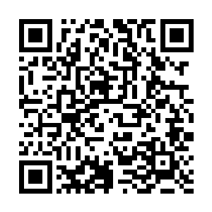 不过凤凰一族想要迁徙的话恐怕也不是一件简单的事情二维码生成