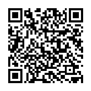 不过凭那身行头也可断定肯定是出自哪位大仙门下二维码生成