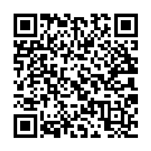 不过出于光明圣师那高贵的身份以及一些最基本的礼节之数二维码生成
