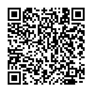 不过刚刚过去那十几个人已经破坏了孙子轩和杨晓芸有可能留下来的痕迹二维码生成