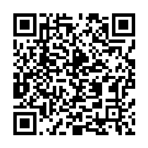 不过刚才看到唐宇对小秋担心到那种程度我真的没觉得难过二维码生成