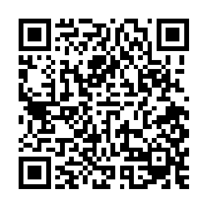 不过刚进入这个龙族创造出来的世界便已经有了那么多的收获二维码生成