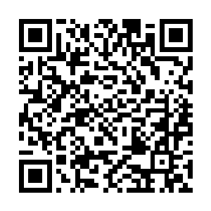 不过到我手上的时候整个脑袋已经完全的干瘪下去了二维码生成